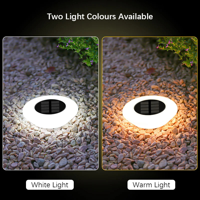 Solar Pathway Orbs