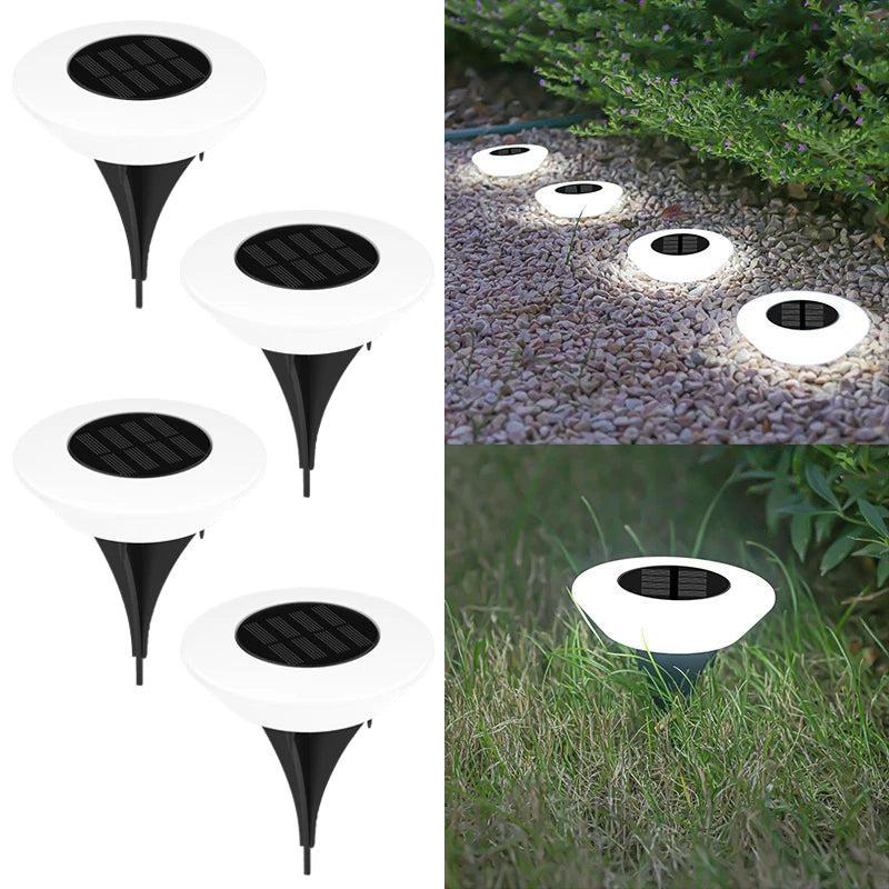 Solar Pathway Orbs