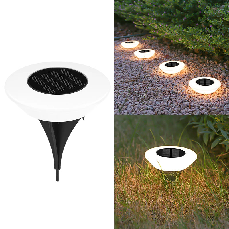 Solar Pathway Orbs